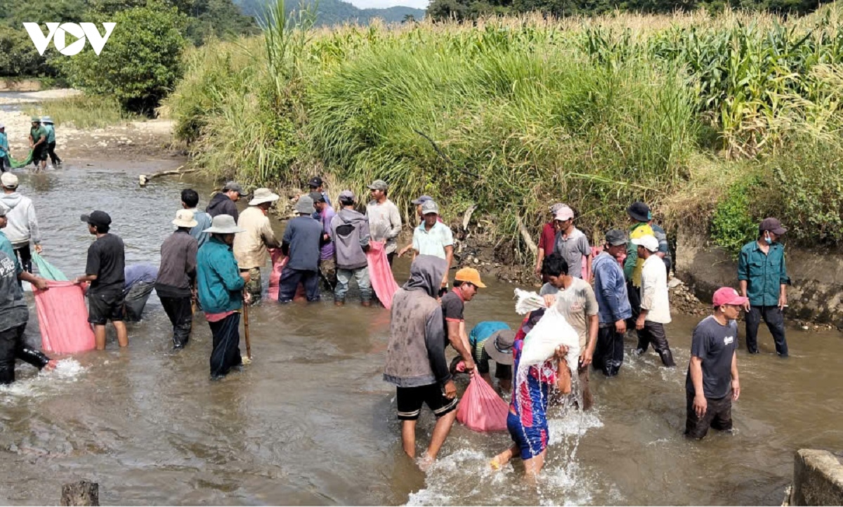 Dap lang hu hong khien san xuat cua dong bao k ho, raglai o lam Dong gap kho khan hinh anh 2