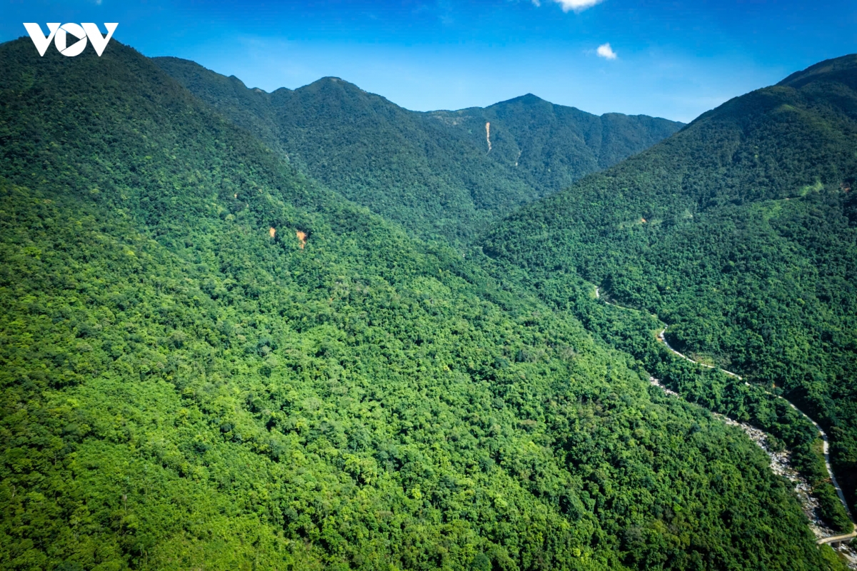 quang ninh hanh trinh danh thuc nhung lao tra tram tuoi tai vung dat Duong hoa hinh anh 1