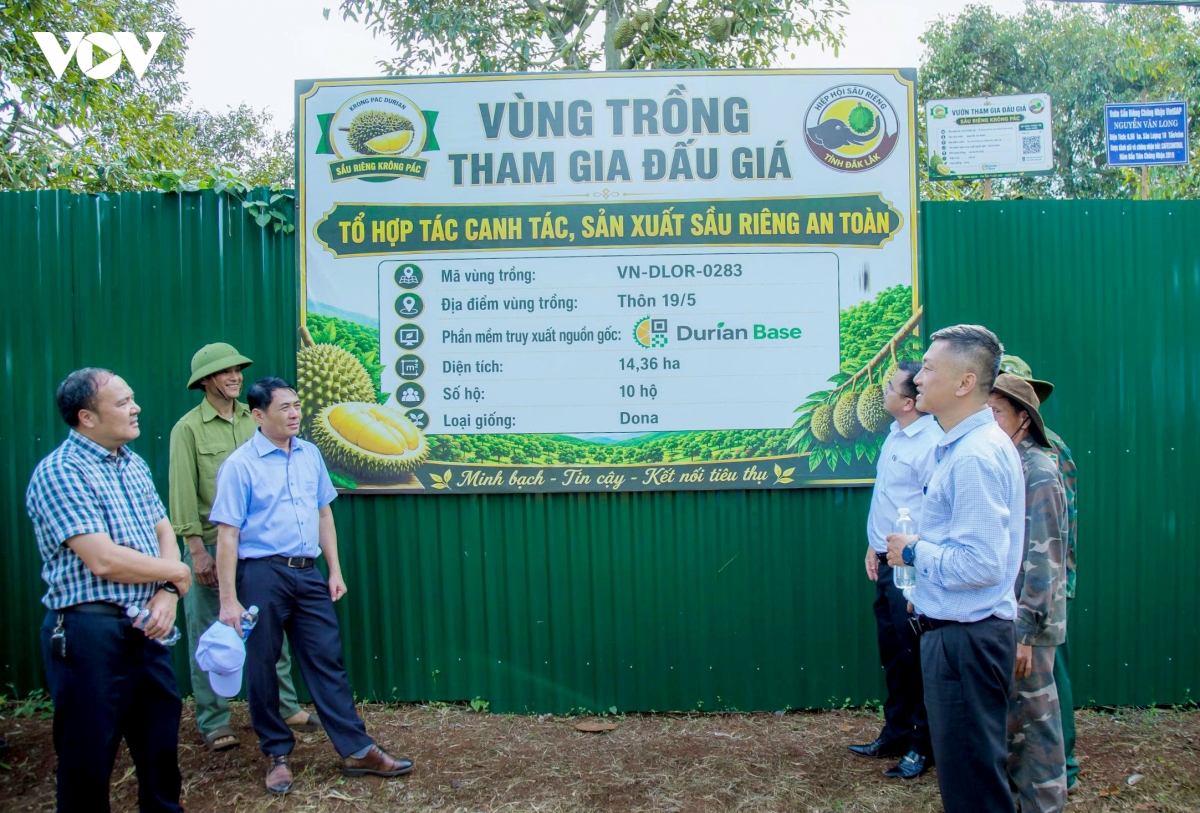 le hoi sau rieng Dak lak ngay hoi nganh hang ty do, danh thuc ban sac buon lang hinh anh 3