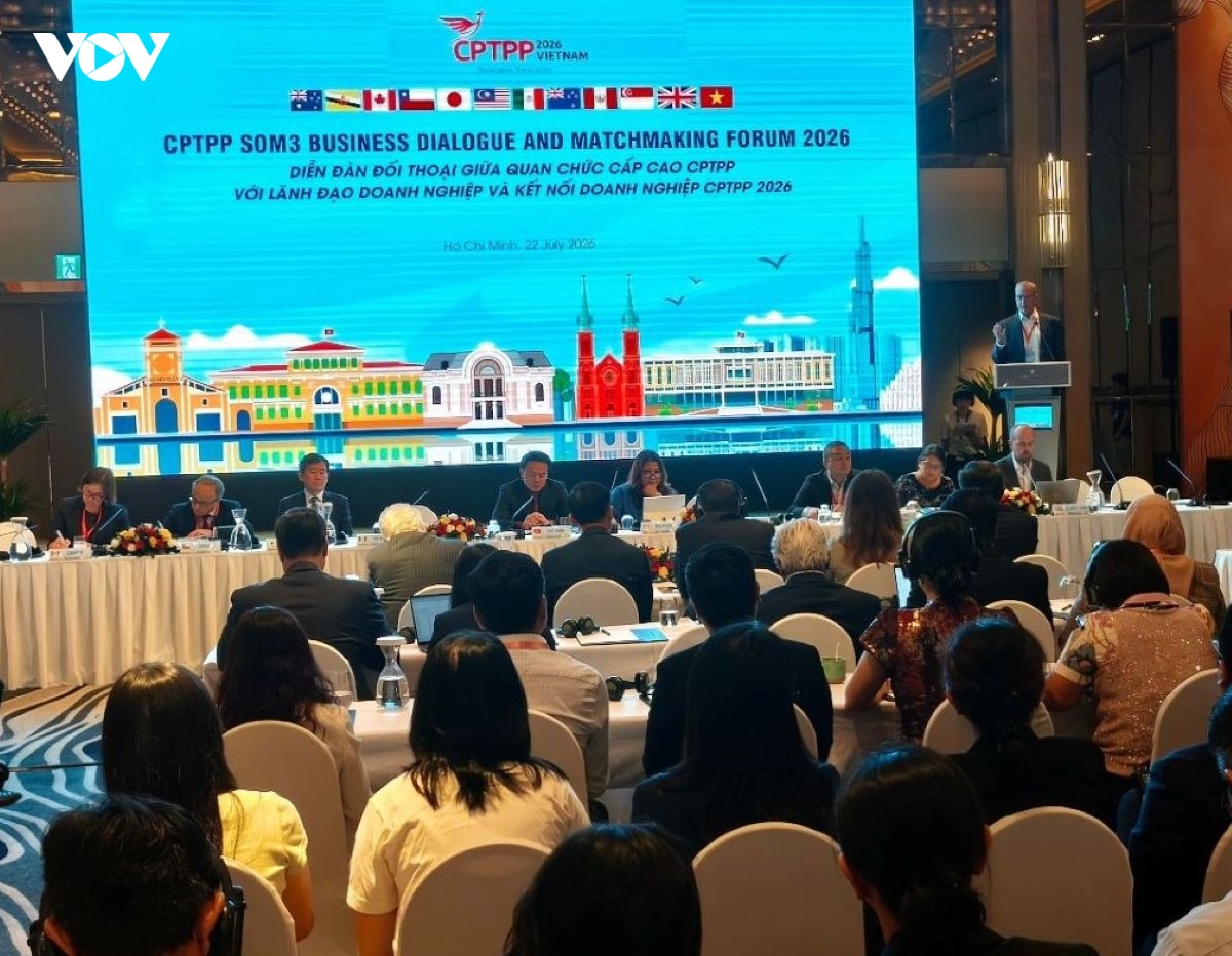 mo rong cptpp, tang ket noi chinh phu - doanh nghiep de but pha xuat khau hinh anh 1