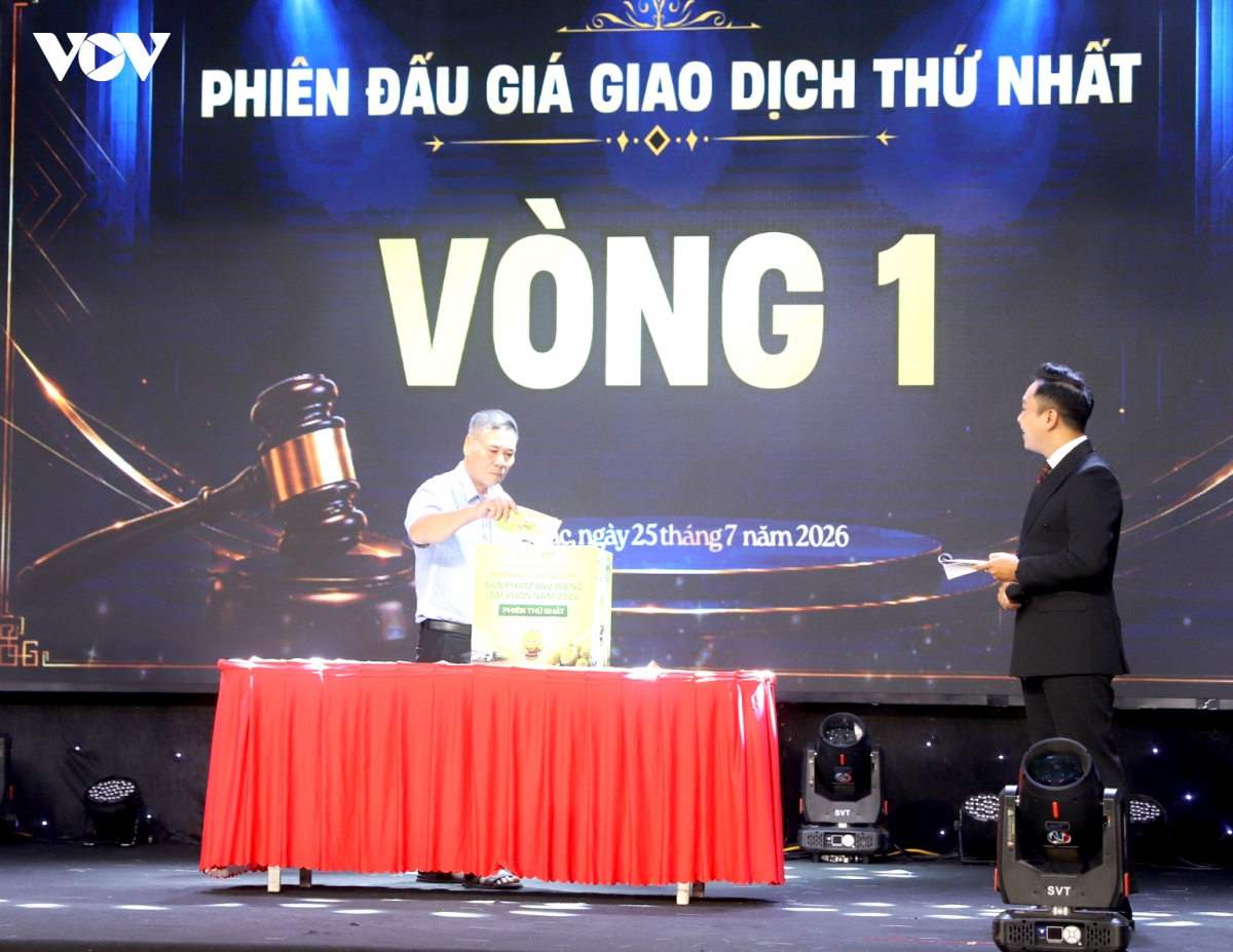 Dak lak lan dau dau gia sau rieng tai vung trong hinh anh 1