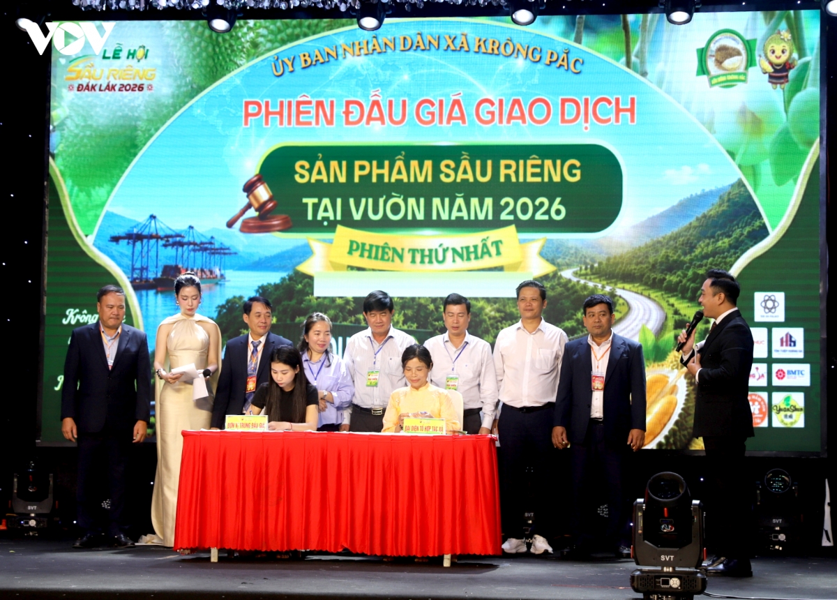 Dak lak lan dau dau gia sau rieng tai vung trong hinh anh 3