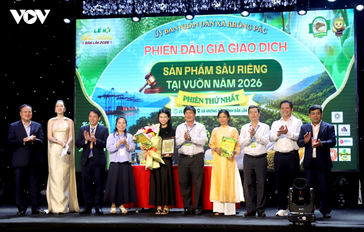 Dak lak lan dau dau gia sau rieng tai vung trong hinh anh 4