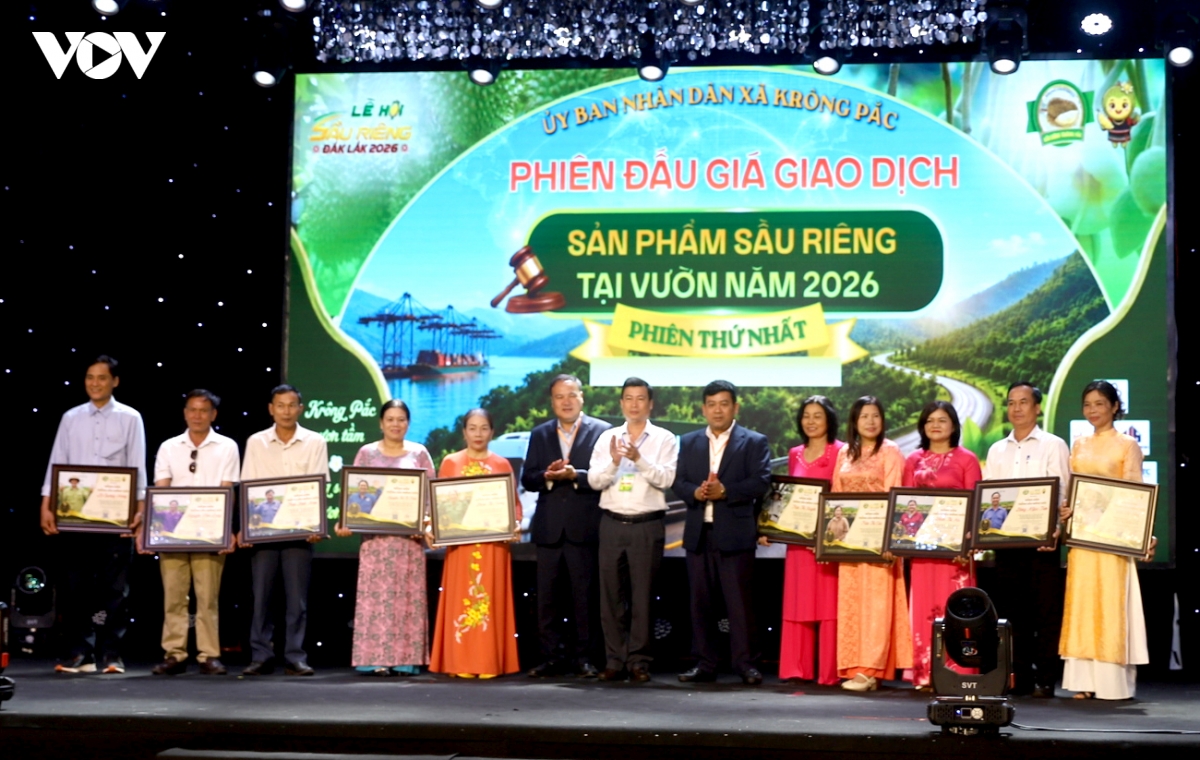 Dak lak lan dau dau gia sau rieng tai vung trong hinh anh 5