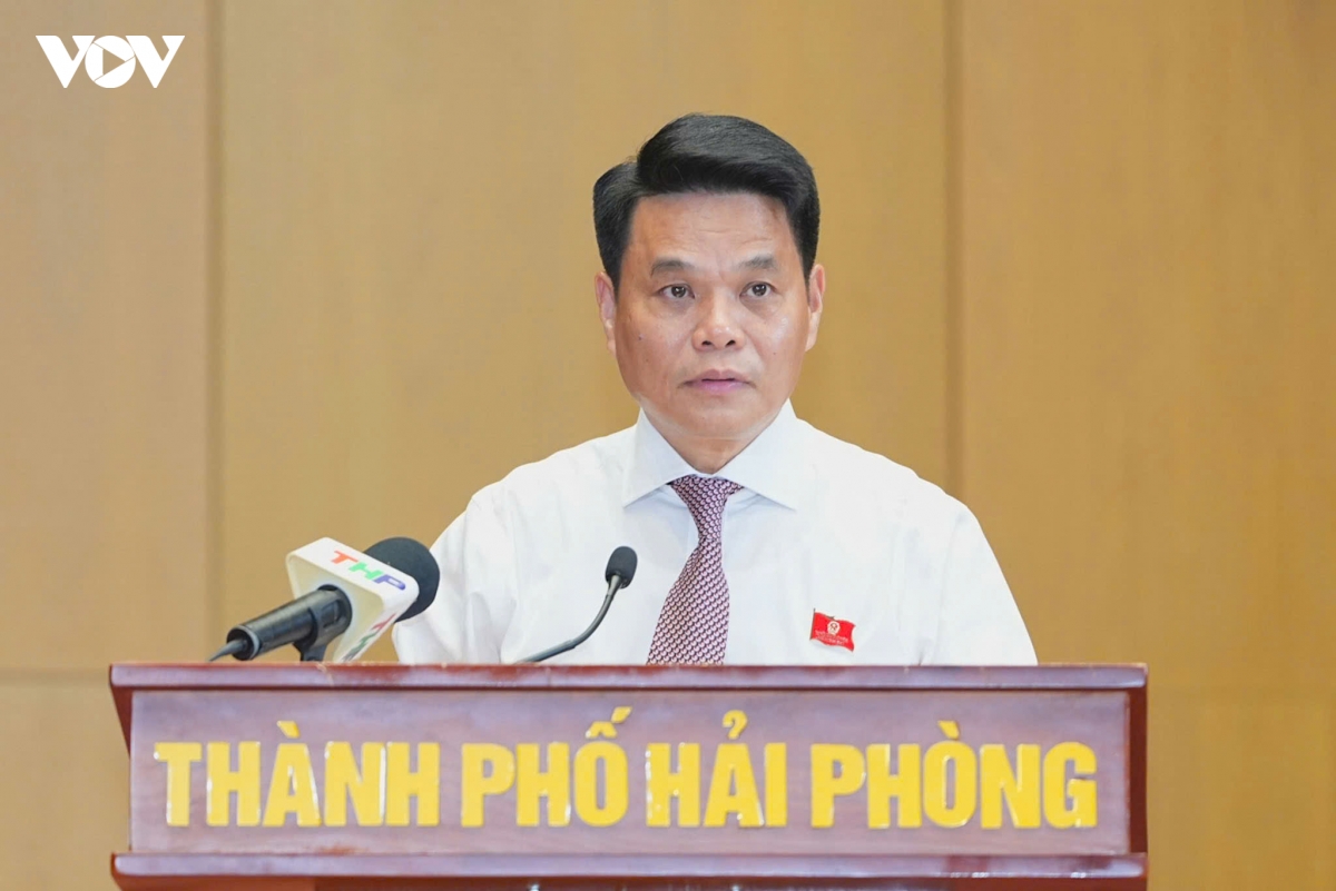 hai phong ban giai phap tang truong 13 hinh anh 3