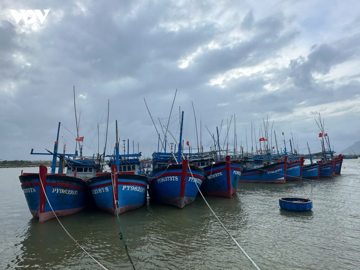Dak lak giu vung muc tieu khong de xay ra vi pham khai thac iuu hinh anh 1