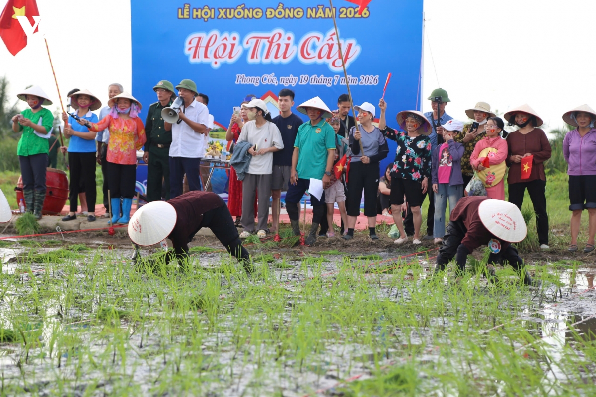 ron rang ngay hoi xuong dong tren dao ha nam o quang ninh hinh anh 2