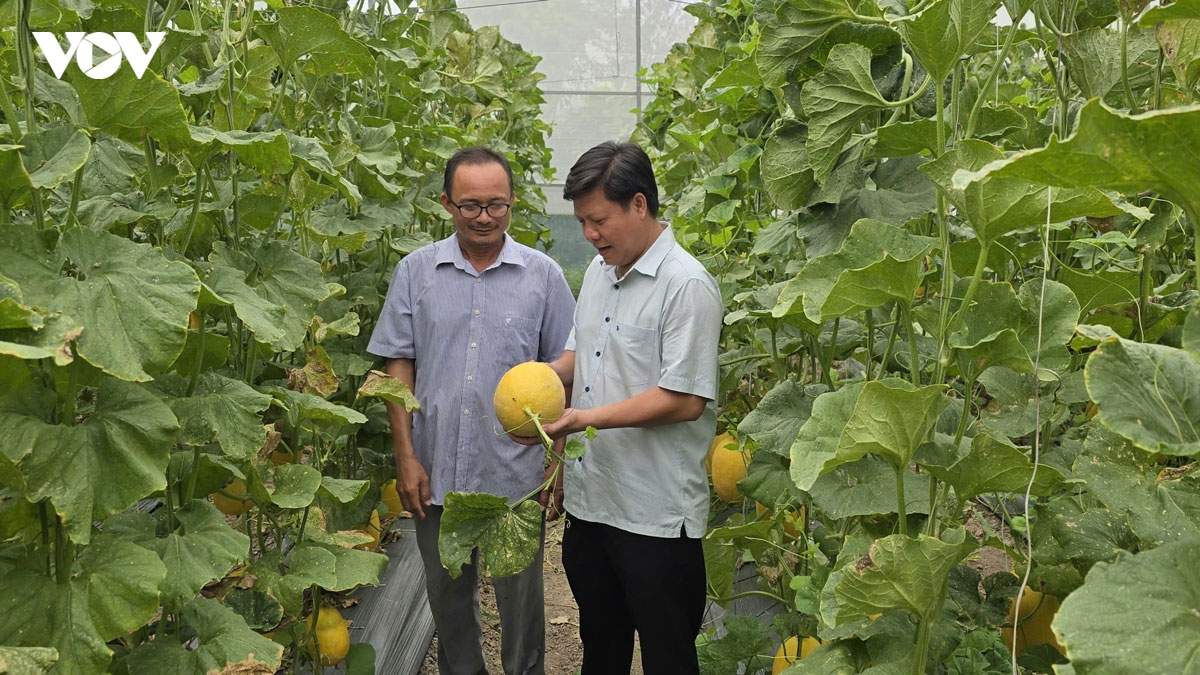 Dong nai but pha tang truong, lay niem tin lam thuoc do hinh anh 2