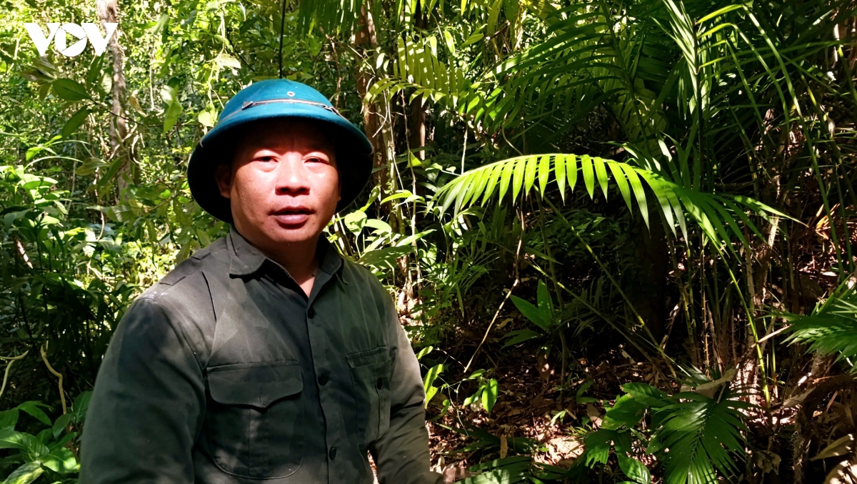 quang ninh hanh trinh danh thuc nhung lao tra tram tuoi tai vung dat Duong hoa hinh anh 3