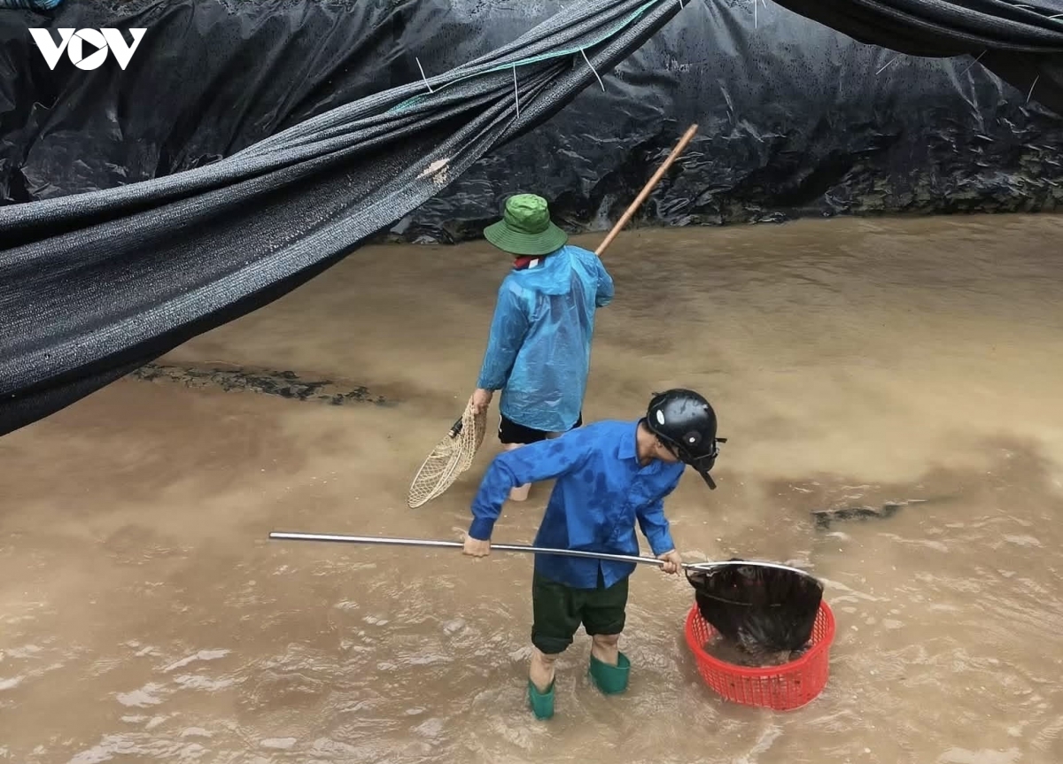 mot ho dan o ngoc chien son la thiet hai gan 20 tan ca tam do mua lu hinh anh 2