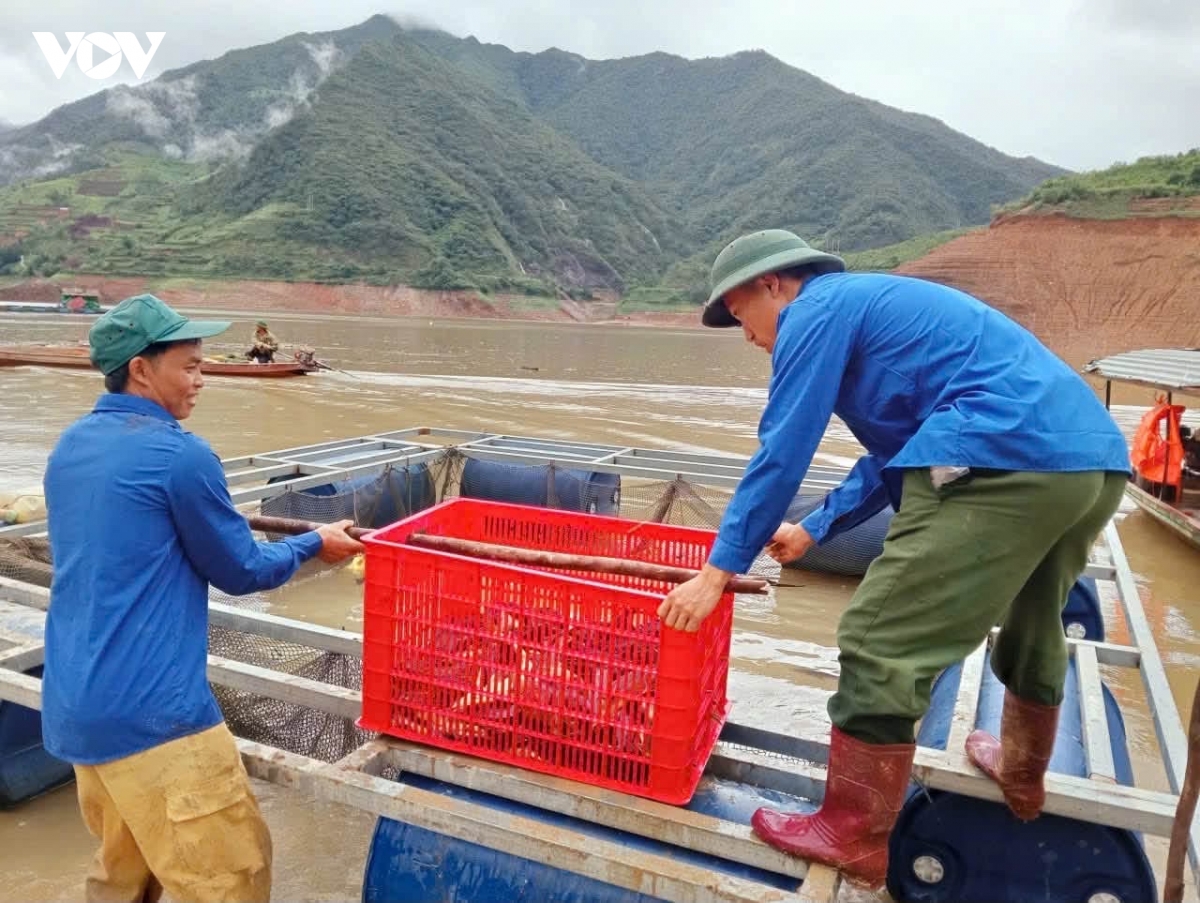 mot ho dan o ngoc chien son la thiet hai gan 20 tan ca tam do mua lu hinh anh 1