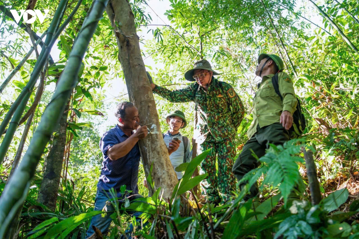 quang ninh hanh trinh danh thuc nhung lao tra tram tuoi tai vung dat Duong hoa hinh anh 4