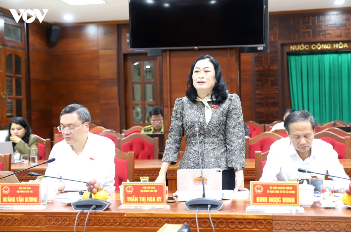 Dak lak kien nghi thao go vuong mac ve dat dai, giao duc va y te vung dan toc thieu so hinh anh 3