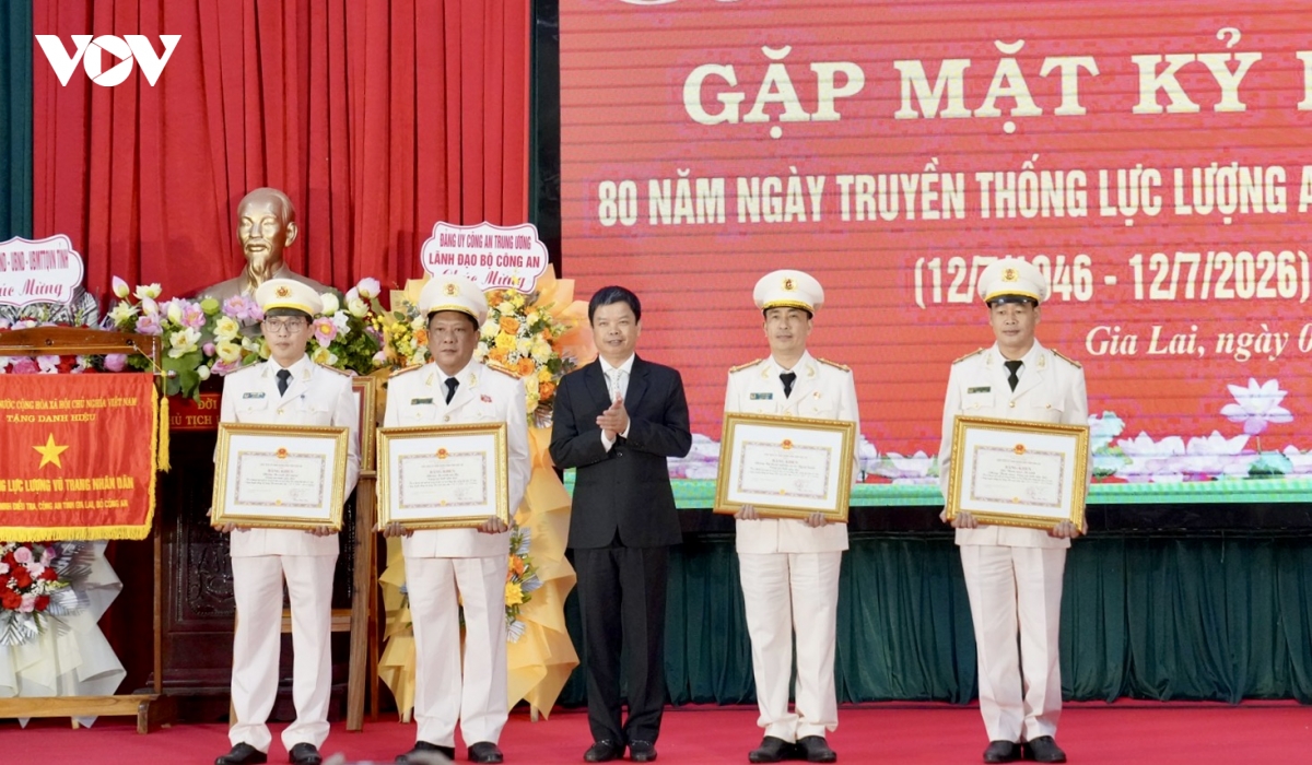 luc luong an ninh nhan dan gia lai ghi dau nhieu chien cong hinh anh 2