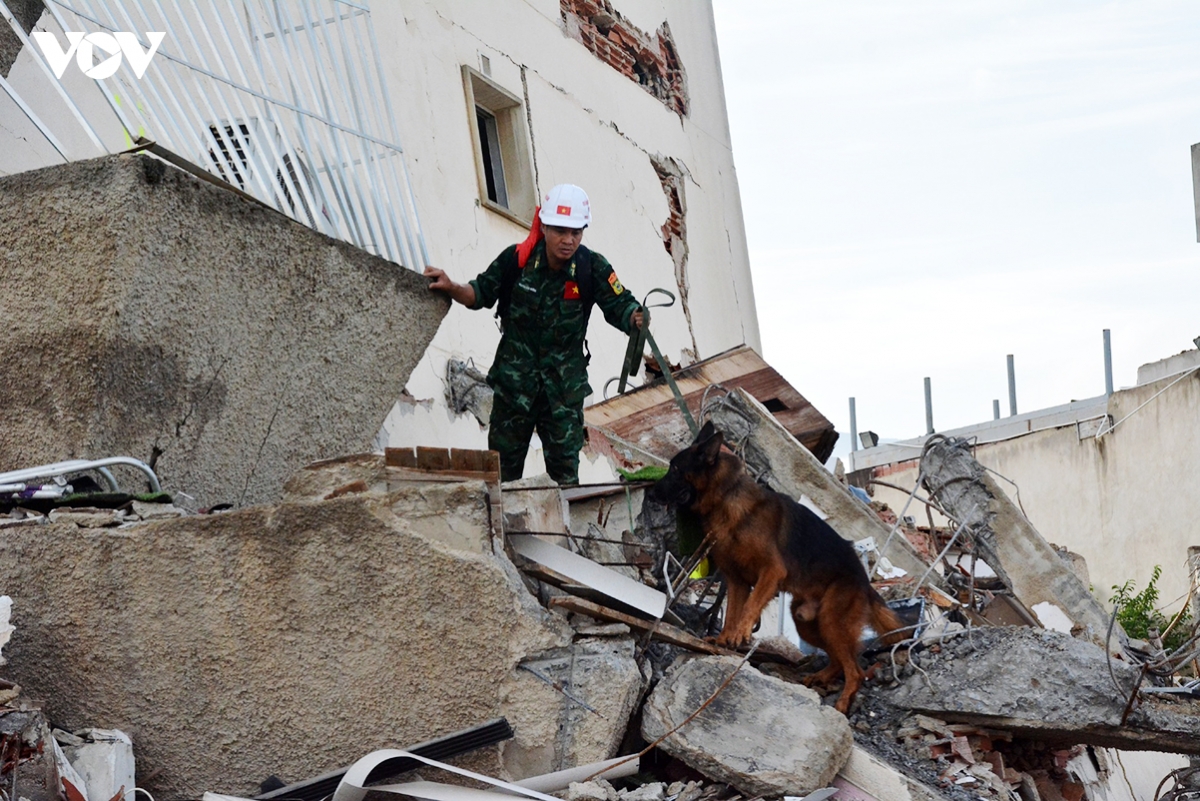 vietnamese military working dogs excel in venezuela quake rescue mission picture 1