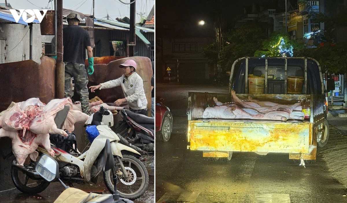 mat ve sinh an toan thuc pham hanh trinh tu lo mo den quay thit o quang ninh hinh anh 4