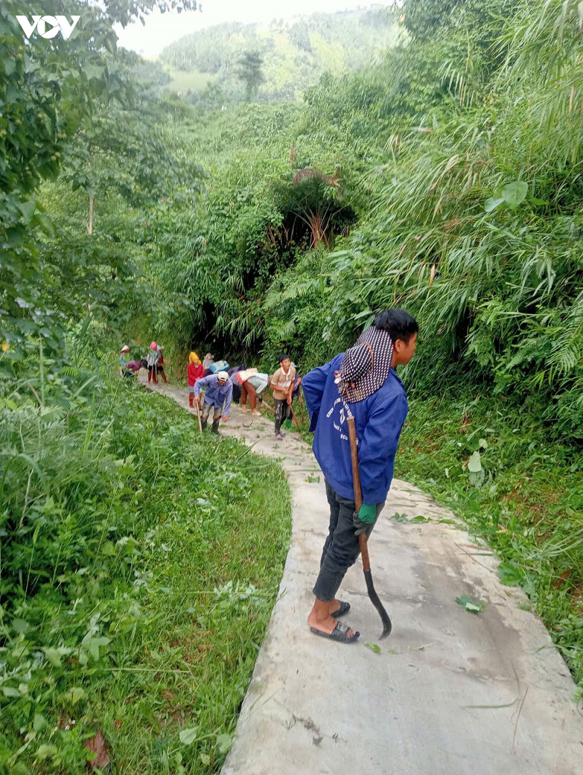 du bao mua lon, vung cao lao cai khan truong ung pho nguy co lu quet, sat lo hinh anh 1