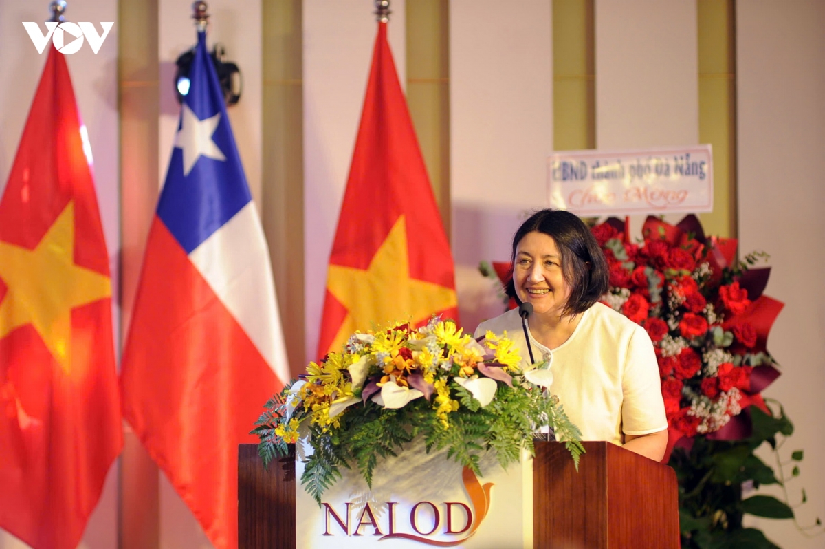 Da nang xuc tien dau tu va thuong mai voi cac doi tac cua chile hinh anh 3