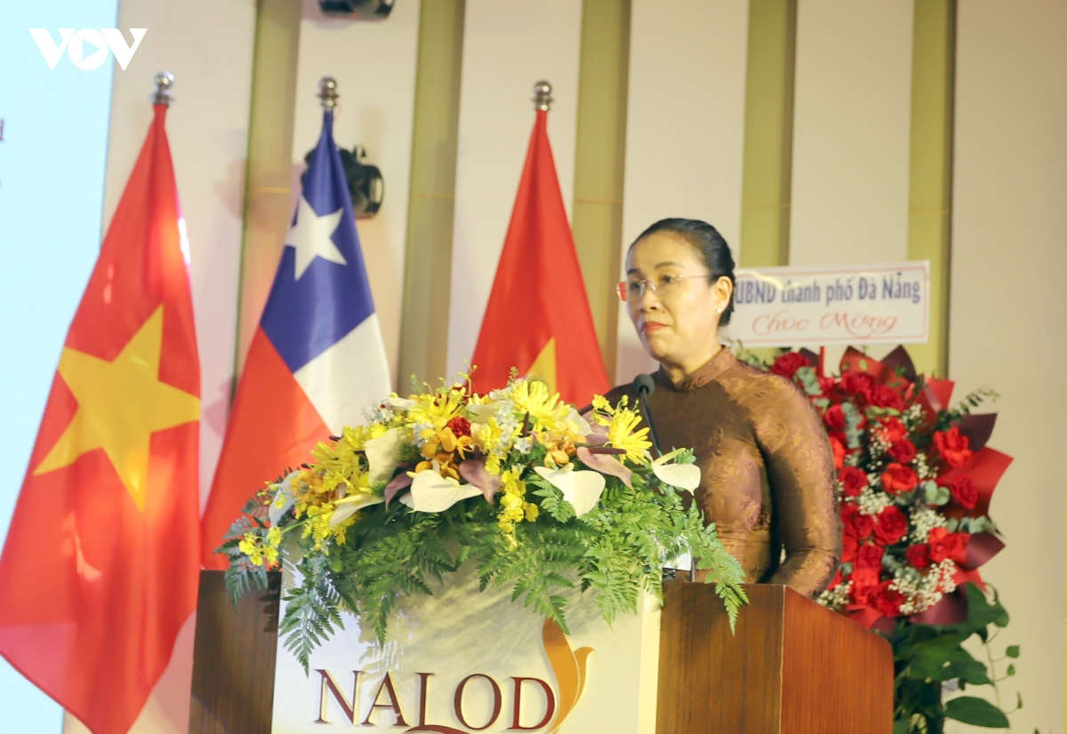 Da nang xuc tien dau tu va thuong mai voi cac doi tac cua chile hinh anh 2