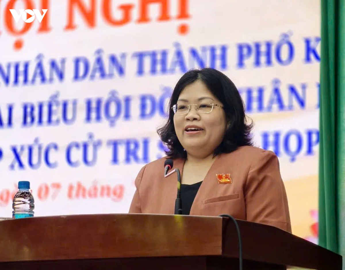 pho chu tich hDnd tp.hcm Dung cho den ky tiep xuc moi giai quyet viec cho dan hinh anh 5