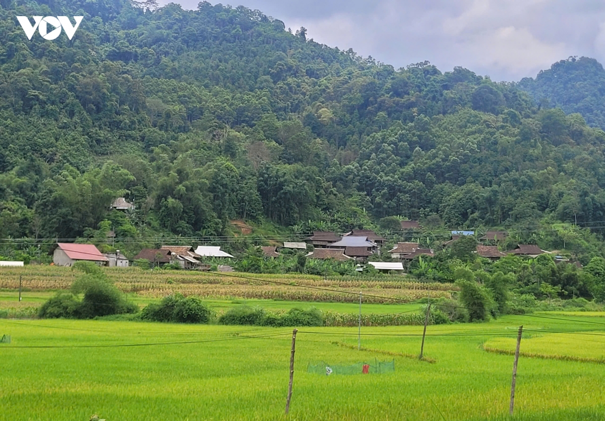 ky vong tu nhung thon moi sau sap xep hinh anh 3