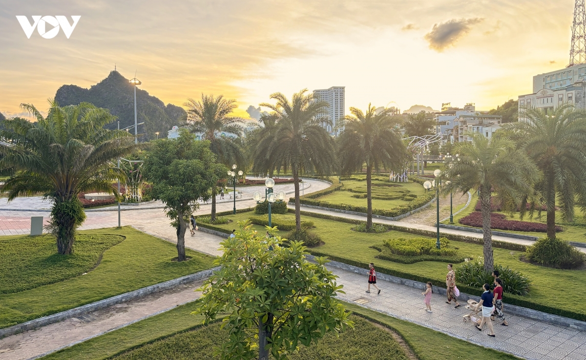 Dan bo cau 500 con bay rop cong vien hoa ha long hinh anh 1