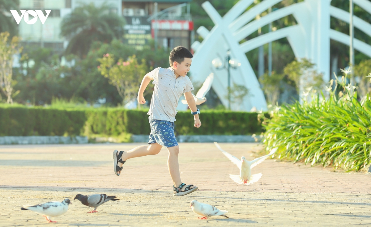 Dan bo cau 500 con bay rop cong vien hoa ha long hinh anh 3