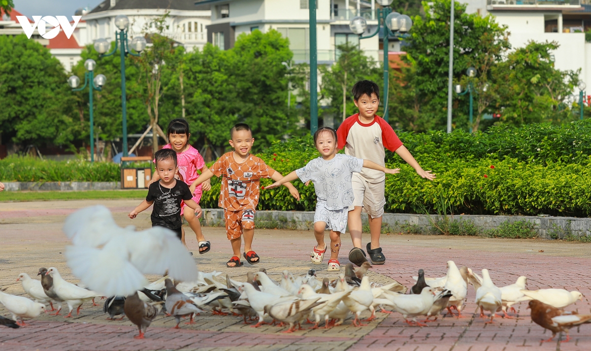 Dan bo cau 500 con bay rop cong vien hoa ha long hinh anh 4