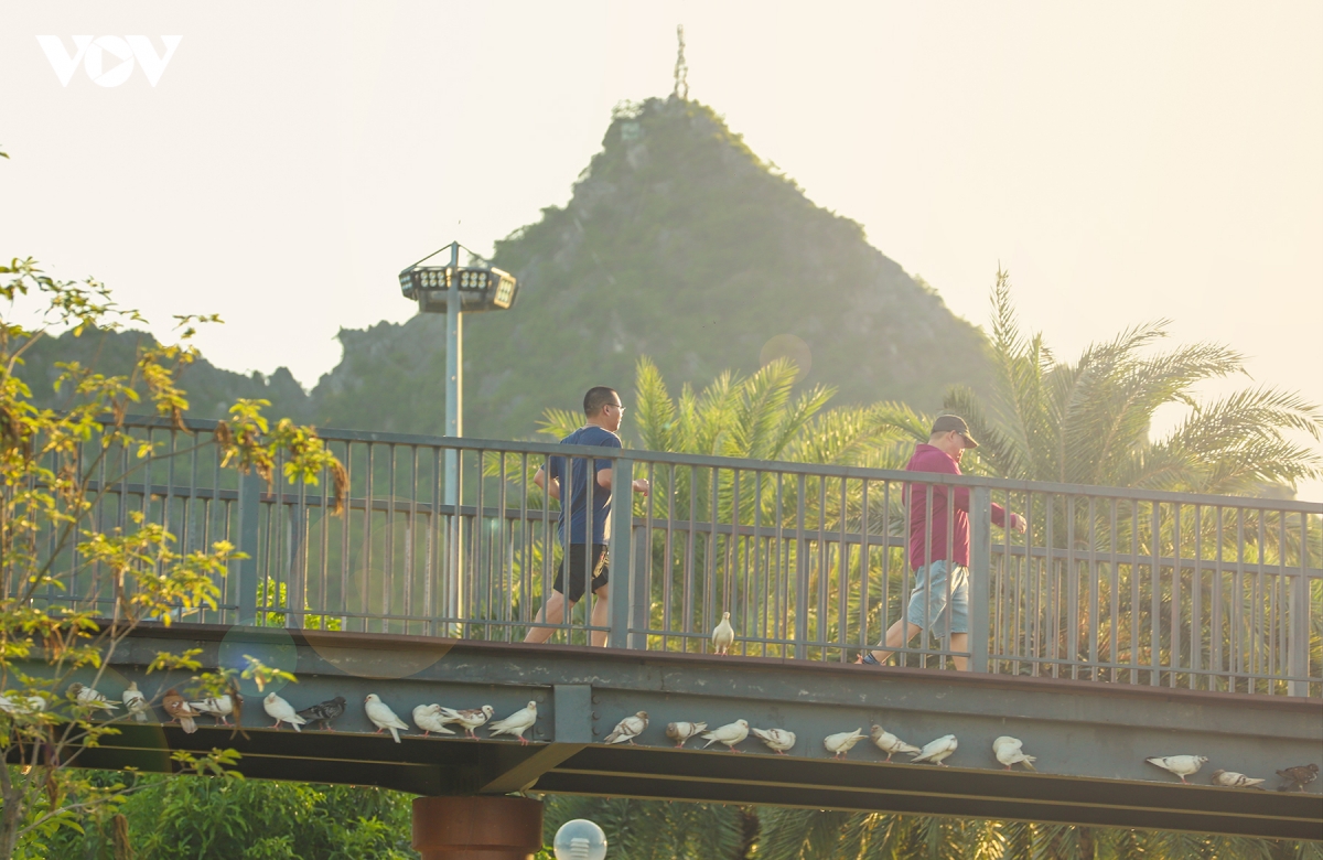 Dan bo cau 500 con bay rop cong vien hoa ha long hinh anh 7