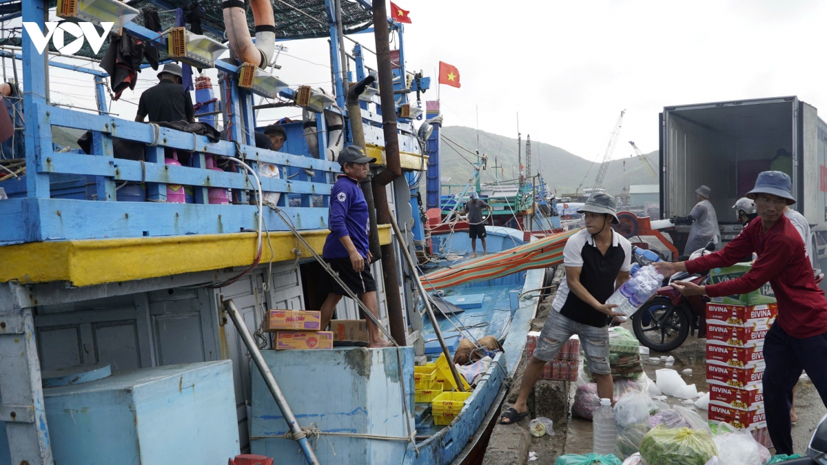 gia lai siet chat quan ly tau ca, nang cao y thuc chong khai thac iuu hinh anh 1