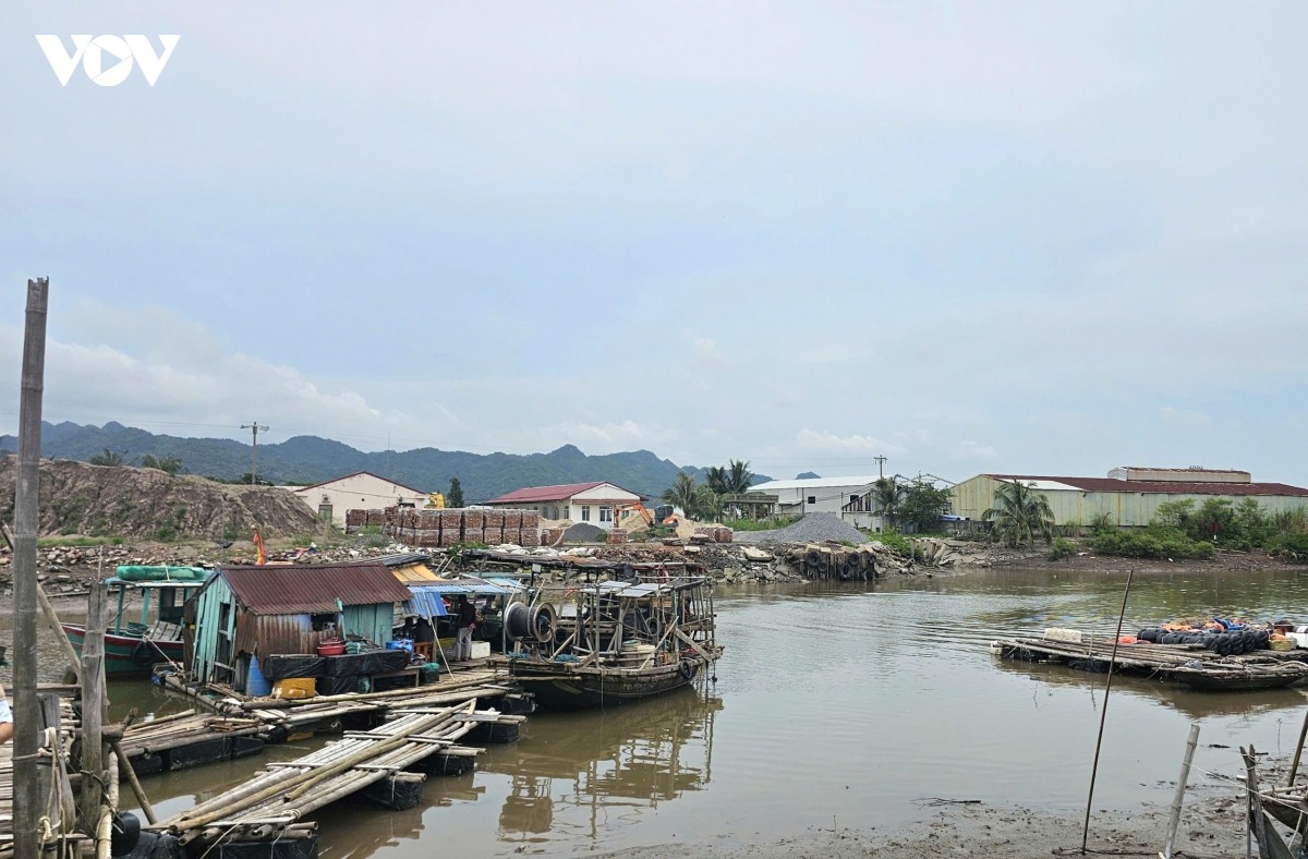 hang tan ca song chet bat thuong tren song phu long, hai phong hinh anh 2
