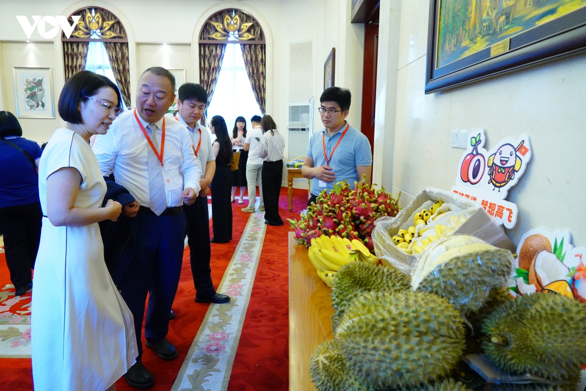 vis 2026 mo rong co hoi dua hang viet tham gia chuoi cung ung toan cau hinh anh 2