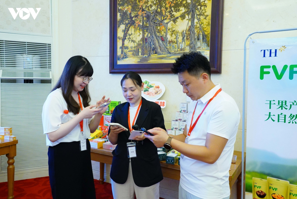 vis 2026 mo rong co hoi dua hang viet tham gia chuoi cung ung toan cau hinh anh 5