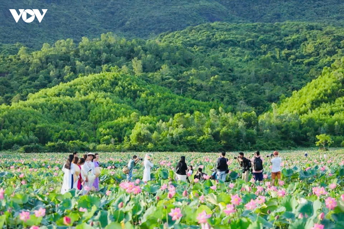 trong sen ket hop lam du lich tao sinh ke cho nguoi dan hinh anh 4