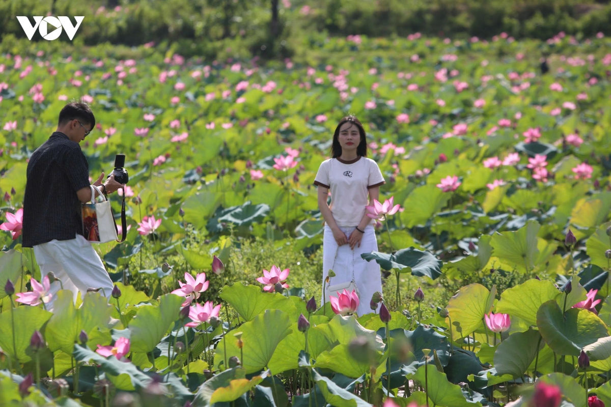 trong sen ket hop lam du lich tao sinh ke cho nguoi dan hinh anh 5