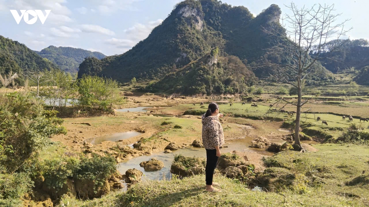 cao bang thuy dien thoong got ii ho bien den bu dat, hoa mau thanh mua ban dat hinh anh 1
