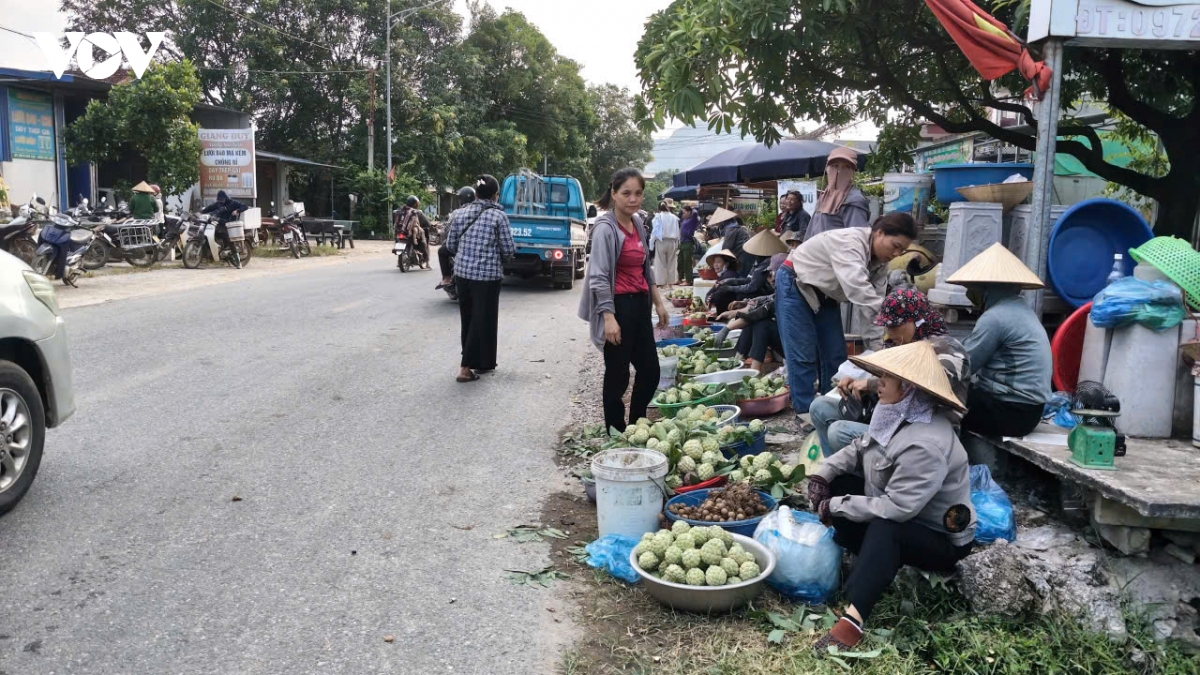 thu phu na thai nguyen vao mua qua som hinh anh 3