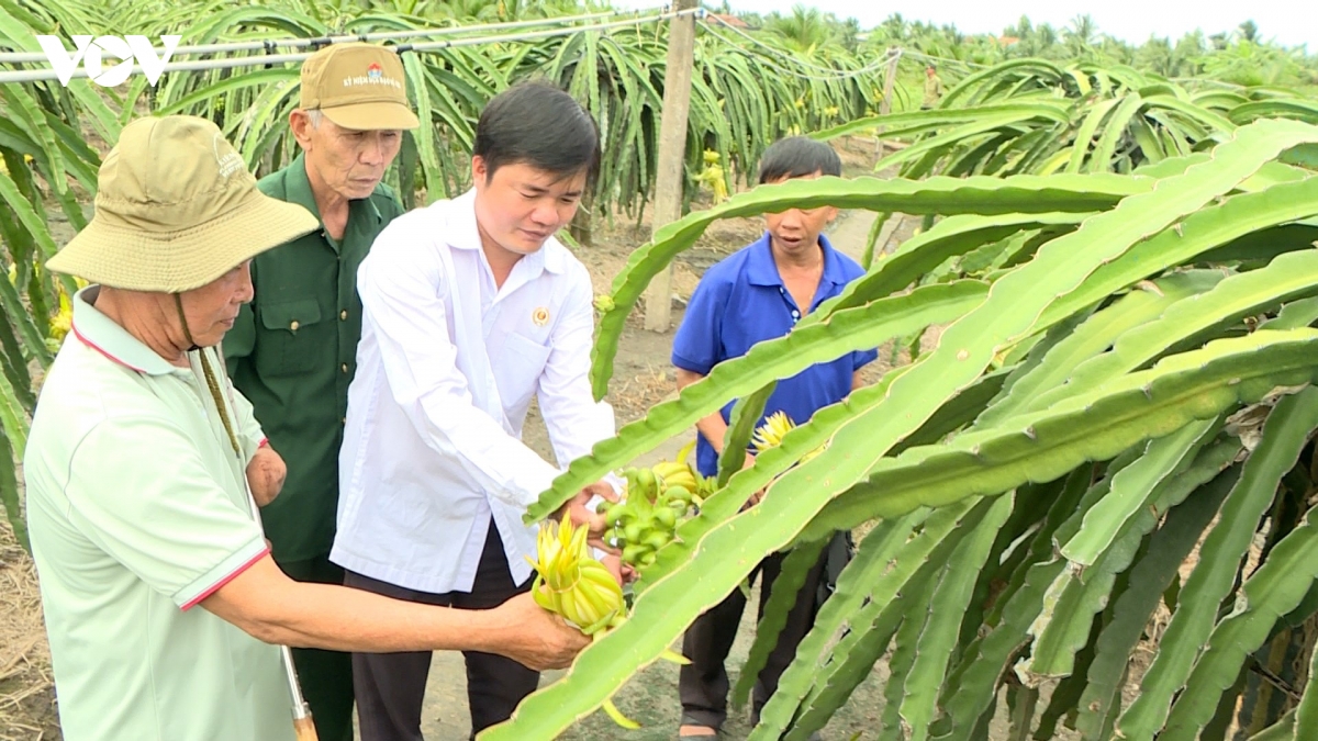 nhung thuong binh du tan nhung khong phe tren vung dat Dong thap hinh anh 5