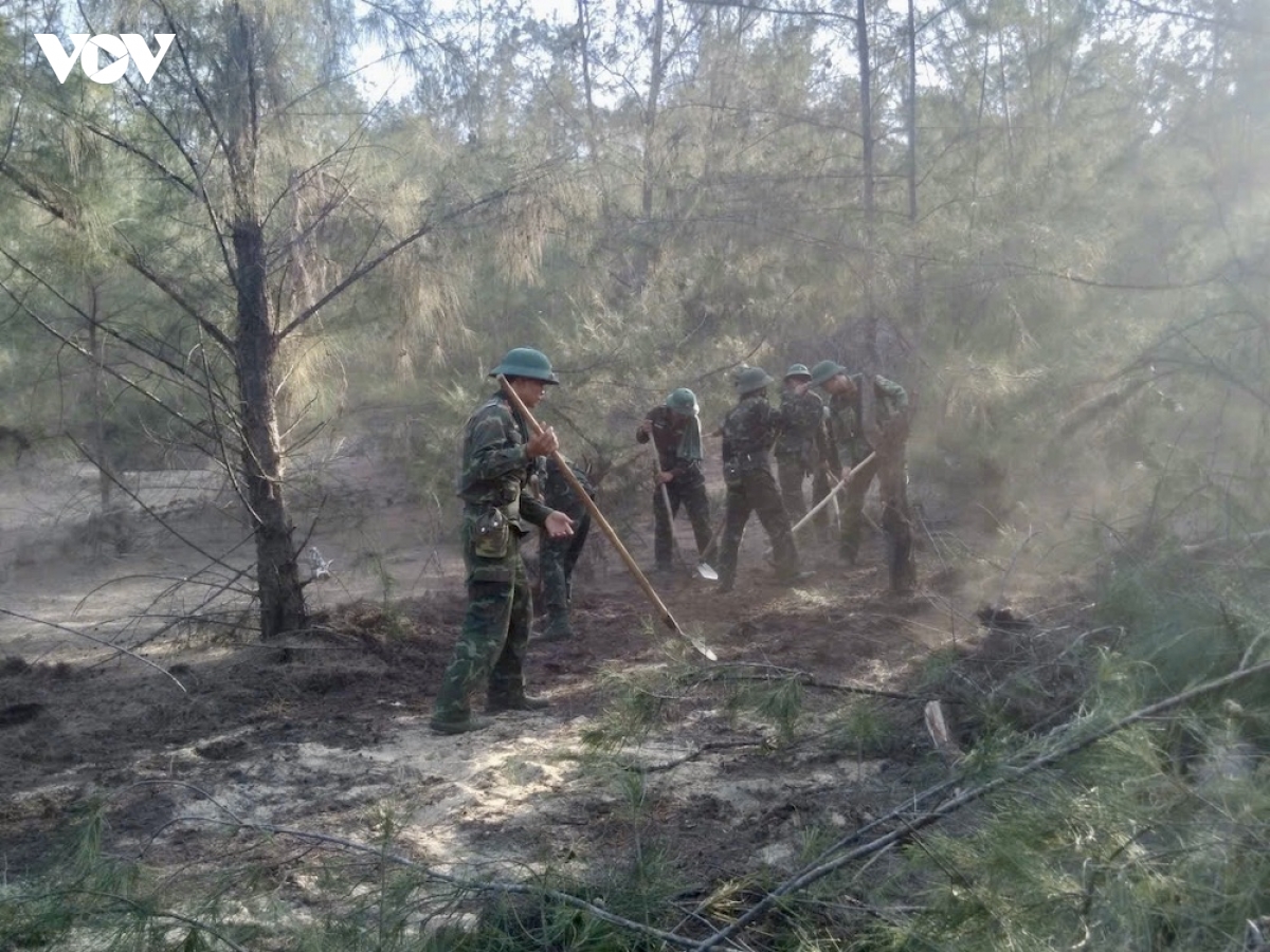 30ha rung duong bi thieu rui trong vu chay rung o xa phu my Dong, gia lai hinh anh 1