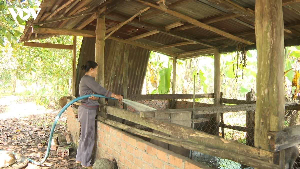 bi quyet lam giau cua cap vo chong nguoi chau ro o lam Dong hinh anh 1