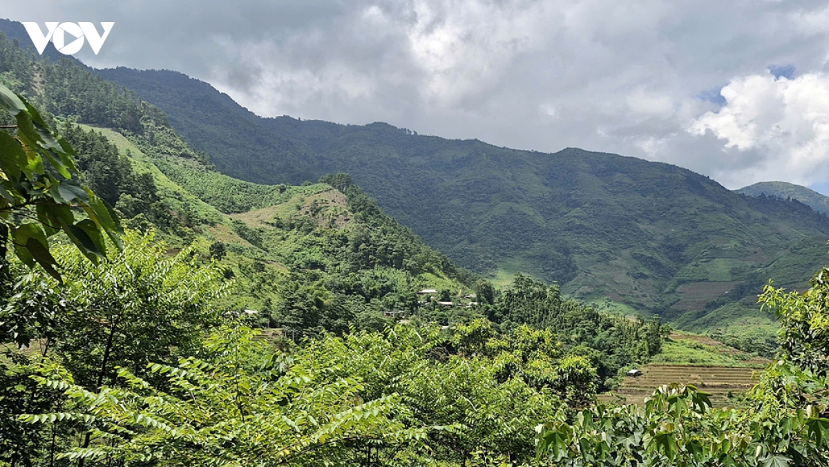 du bao mua lon, vung cao lao cai khan truong ung pho nguy co lu quet, sat lo hinh anh 3