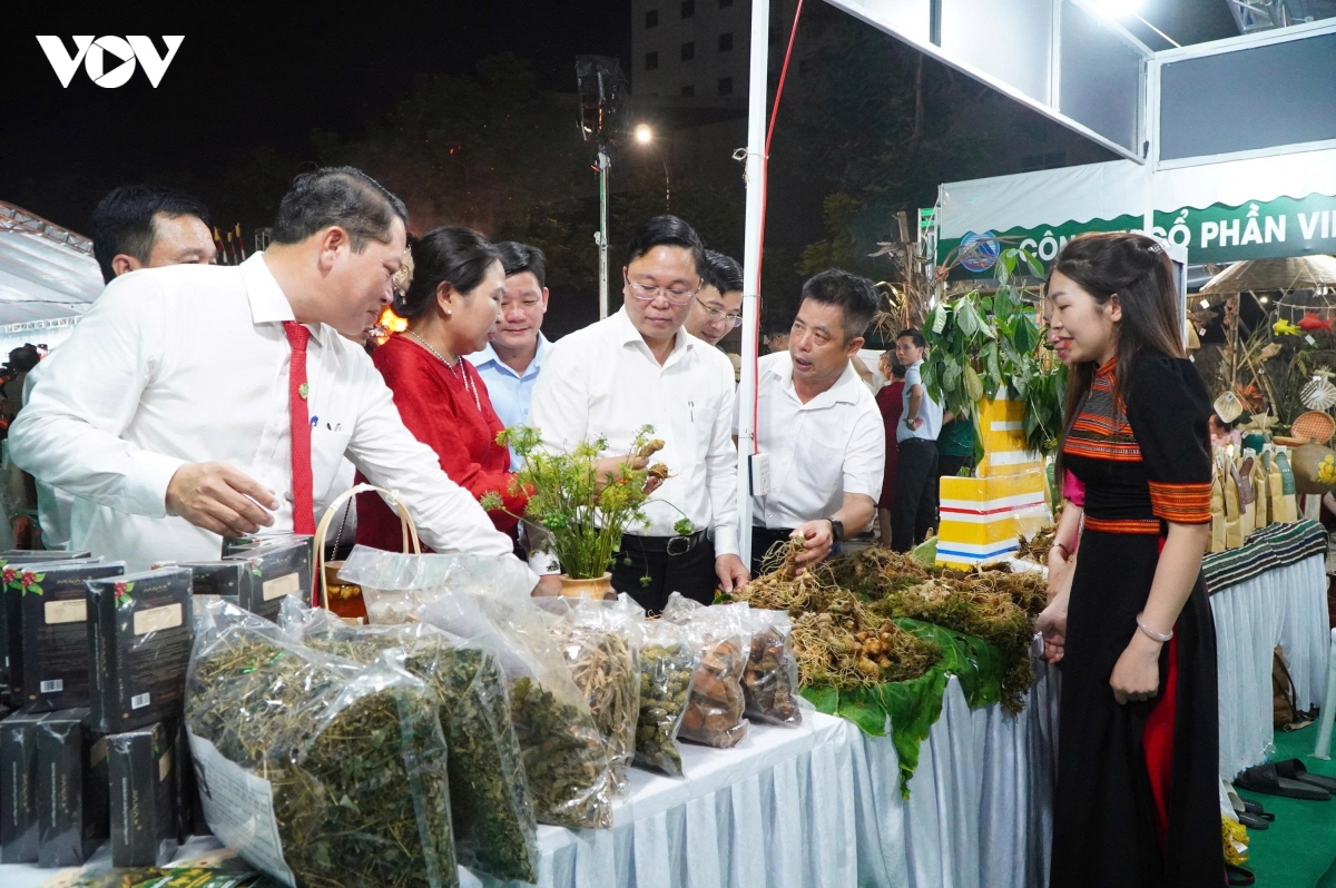 Da nang lan dau dung khong gian trung bay sam ngoc linh canh cho dem son tra hinh anh 1