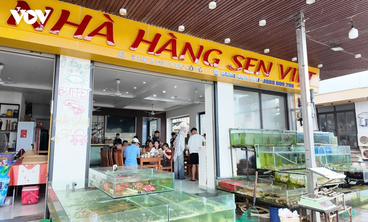 Dac khu co to quang ninh dang co gio giat cap 10, mua rat to hinh anh 3