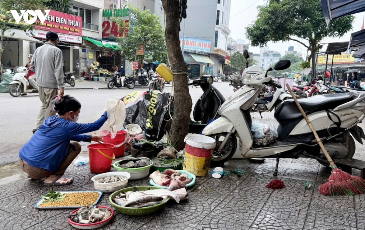 ha noi dep cho coc ngo pho thong thoang hon, nguoi dan loay hoay tim cho ban hang hinh anh 10