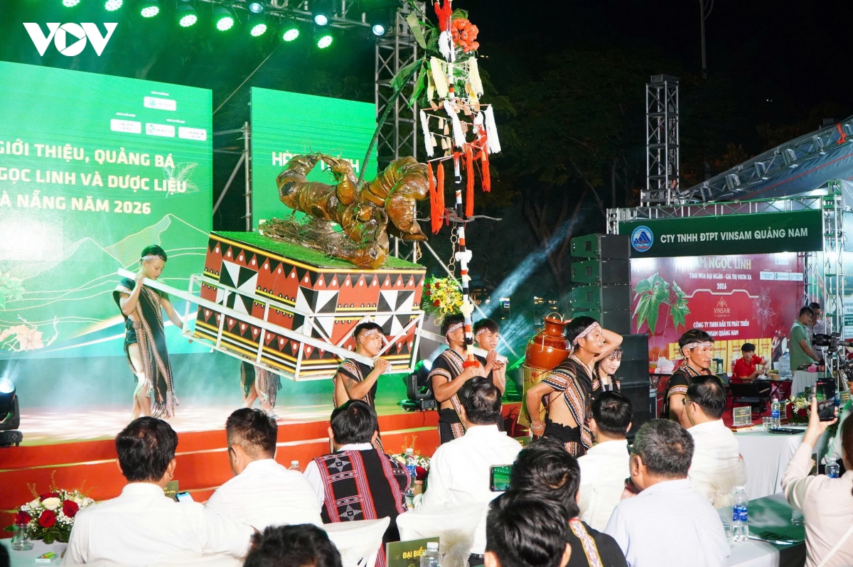 Da nang lan dau dung khong gian trung bay sam ngoc linh canh cho dem son tra hinh anh 3