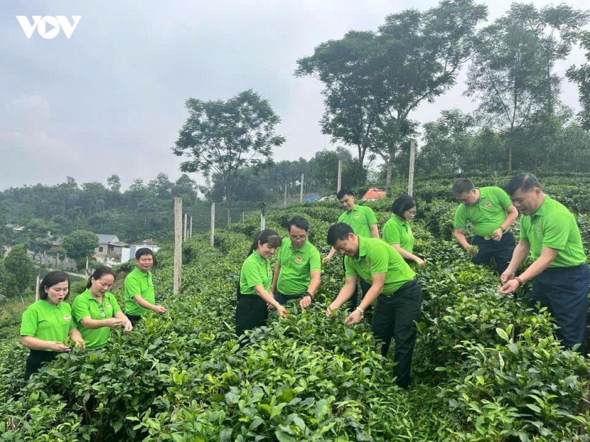 thai nguyen ky vong but pha du lich tu lien ket vung hinh anh 1