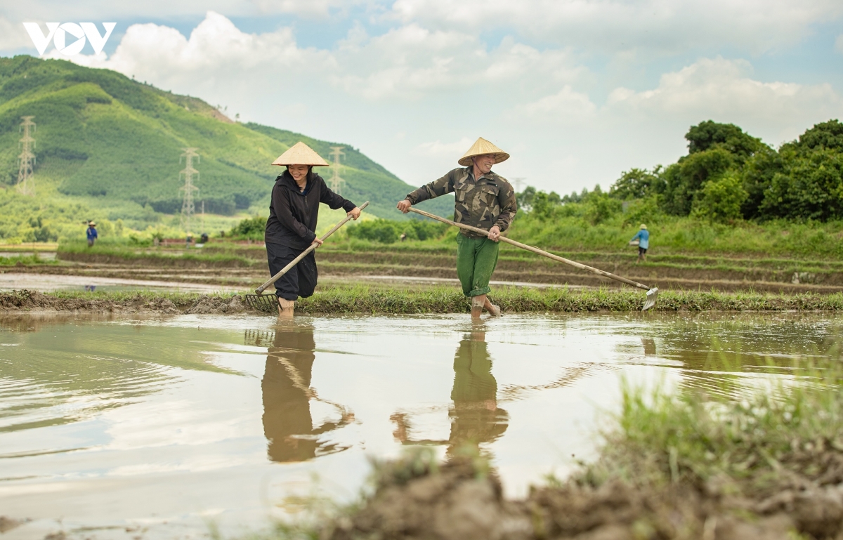 nhung can bo khu genz tuoi doi muoi o khe su quang ninh hinh anh 3