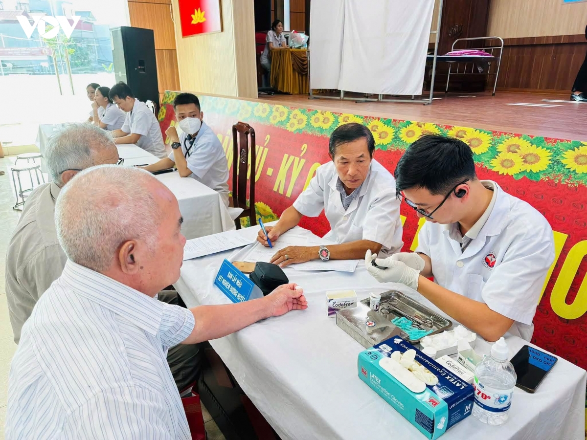 hai phong tri an bang nhung viec lam thiet thuc hinh anh 2