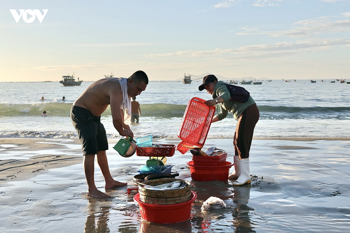 trai nghiem Don nhip cho ca binh minh tai bai bien man thai, Da nang hinh anh 1