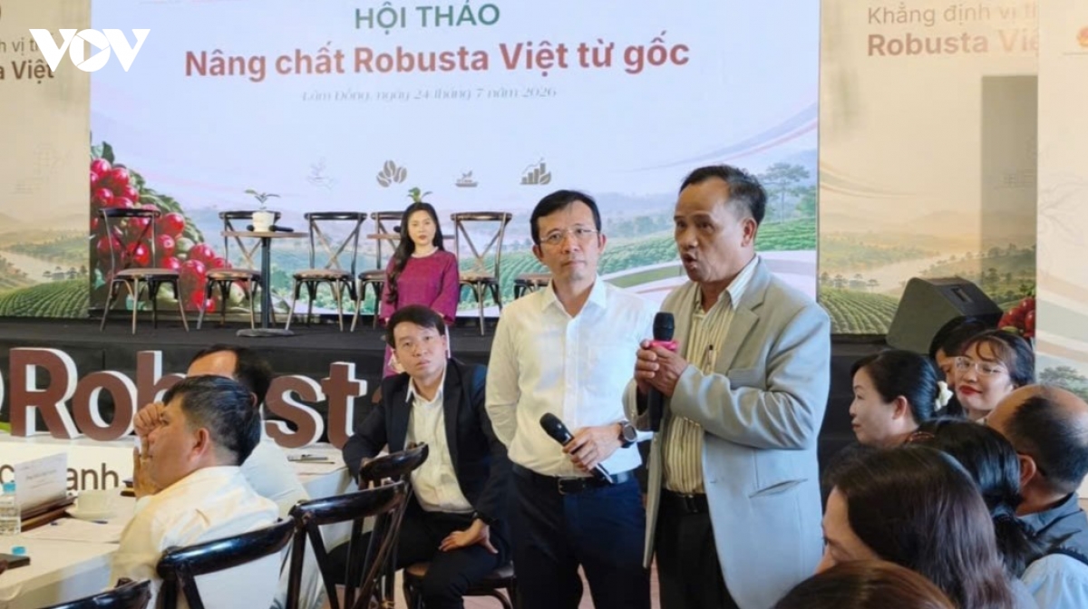 nang chat ca phe robusta viet tu goc hinh anh 1